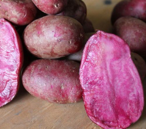 Картофель семенной Сюрприз 2кг (Суперэлита) купить