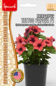 Катарантус Tattoo Papaya F1 купить
