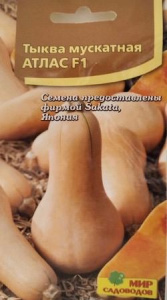 Тыква Атлас 4шт купить