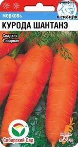 Морковь Курода Шантанэ   купить