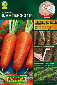 Морковь лента Шантенэ 2461  купить