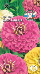 Цинния Констанция купить