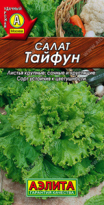 Салат Тайфун листовой  купить