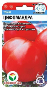 Томат Цифомандра  купить