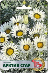Газания Арктик Стар купить
