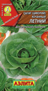 Салат Летний (цикорный) кочанный   купить