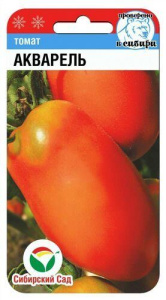 Томат Акварель  купить