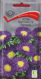 Астра Баронесса Пурпурная купить