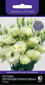 Эустома ЭйБиСи Грин  купить