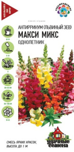 Антирринум Макси микс  купить