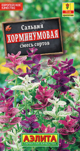 Сальвия Хорминумовая, смесь окрасок  купить