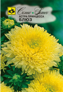 Астра принцесса Блюз  купить