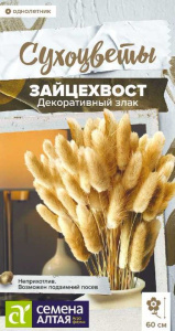 Зайцехвост злак декоративный купить