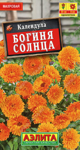 Календула Богиня солнца  купить