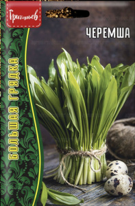 Черемша купить