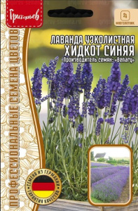 Лаванда узколистная Hidcote Blue купить