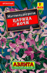 Маттиола Царица ночи  купить