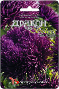 Астра Дракон селект Черный  купить