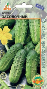 Огурец Засолочный     купить