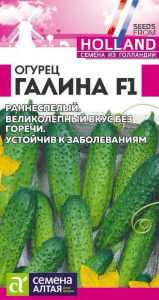 Огурец Галина F1  Seminis
