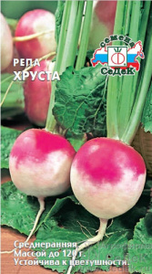 Репа Хруста розовая  купить