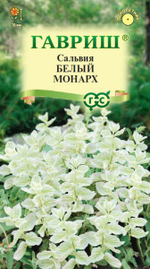Сальвия Белый монарх хорминум  купить