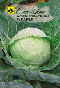 Капуста Парел F1 купить
