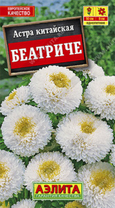Астра Беатриче купить