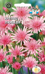 Крепис Любава купить