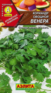 Кориандр Венера  купить