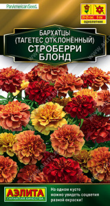 Бархатцы Строберри блонд отклоненные купить