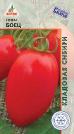 Томат Боец  купить
