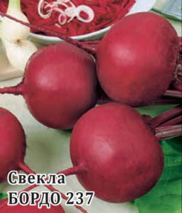 Свекла Бордо 237 25г ПРОФ купить