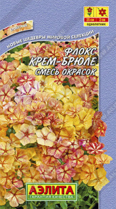 Флокс Крем-брюле, смесь окрасок купить