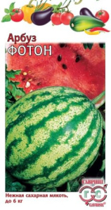 Арбуз Фотон  купить