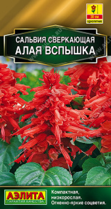 Сальвия сверкающая Алая вспышка купить