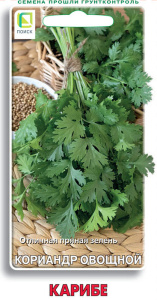 Кориандр Карибе купить