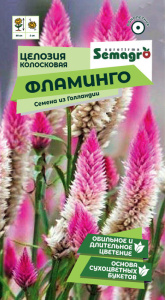 Целозия колосковая Фламинго  купить