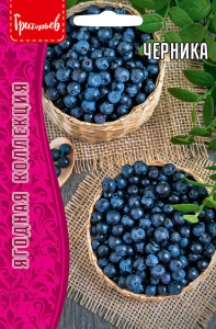 Черника купить
