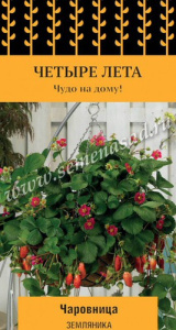 Земляника Чаровница купить
