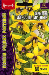 Клематис Пильчатолистный (Ломонос)  купить