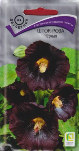 Шток-роза Черная купить