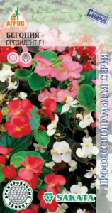 Бегония Президент F1 купить