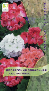 Пеларгония зональная Люстра микс купить