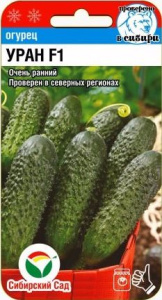 Огурец Уран F1 купить