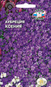 Аубреция Ксения  купить