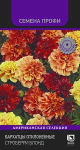 Бархатцы Строберри Блонд откл. купить