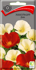 Эшшольция Дива купить