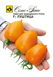Томат Луштица  F1 купить