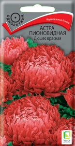 Астра Дюшес красная пионовидная купить